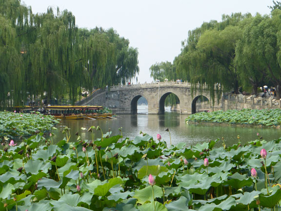 LotusBridge