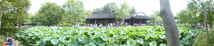LotusGarden