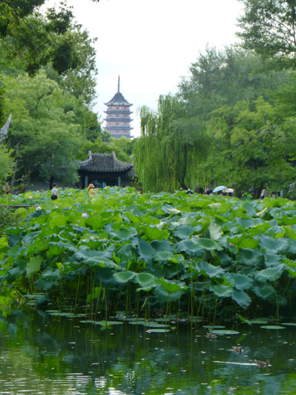 LotusPongPagoda