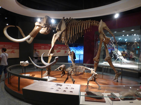 MammothSide